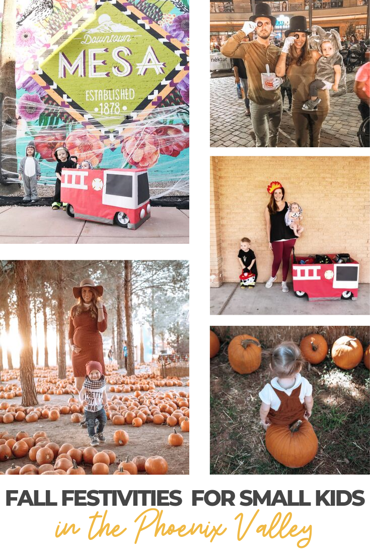 Fall Festivities For Small Kids In The Phoenix Valley - Whitney Irene