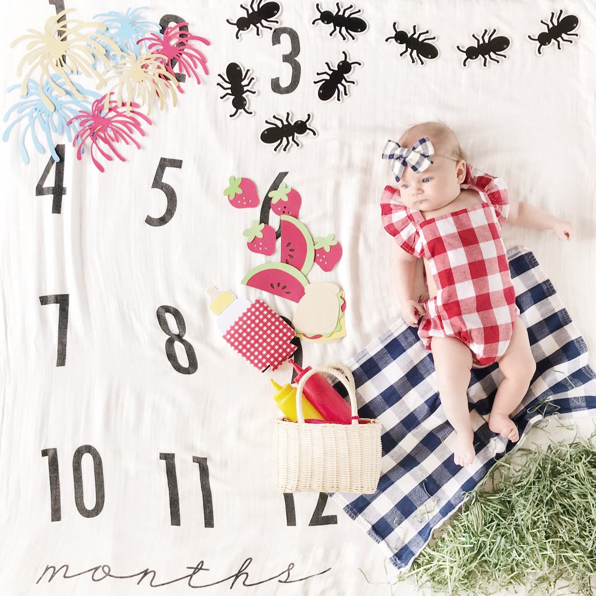 Creative Monthly Milestone Baby Photo Ideas