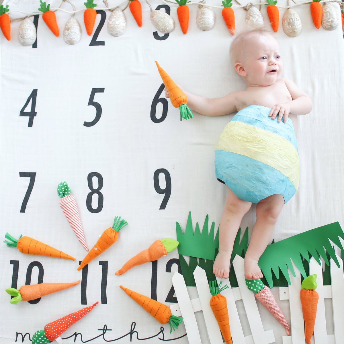 Creative Monthly Milestone Baby Photo Ideas