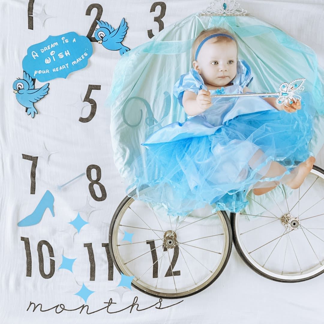 Creative Monthly Milestone Baby Photo Ideas