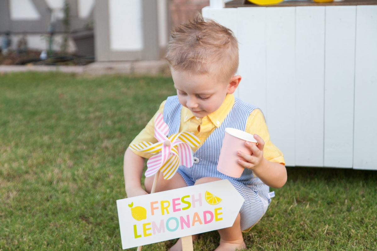 DIY Lemonade Stand 