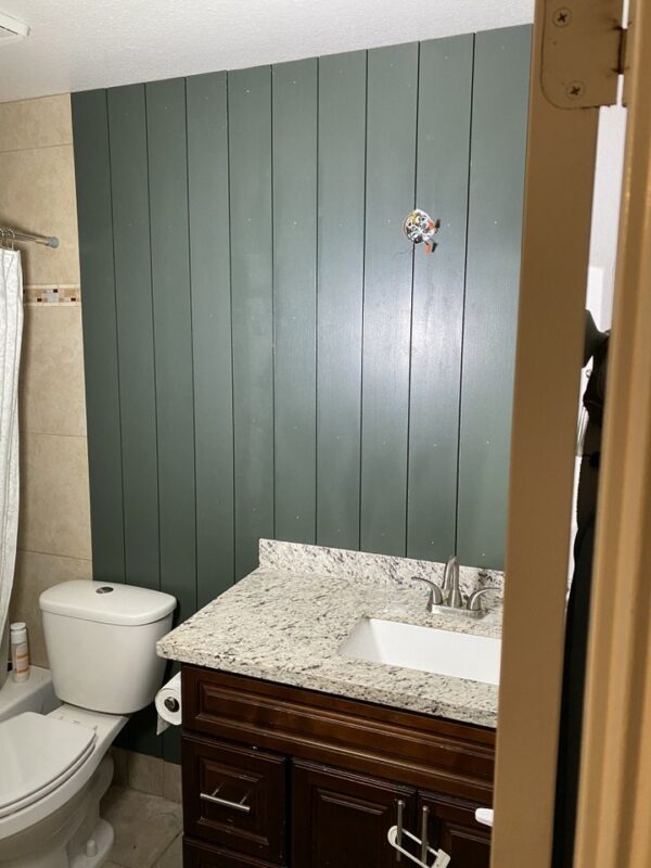 progress pic - bathroom refresh 